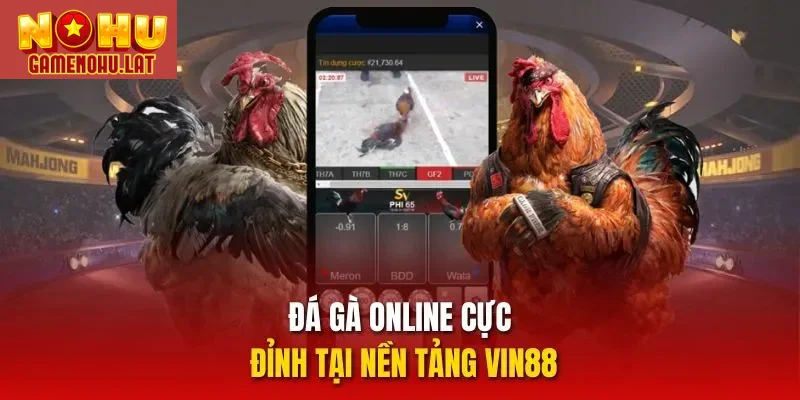 Đá gà online cực đỉnh tại nền tảng VIN88 Đá gà online cực đỉnh tại nền tảng VIN88